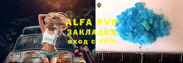 хмурый Бородино