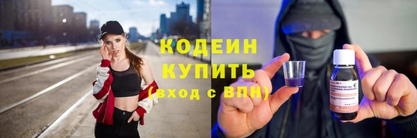 хмурый Бородино
