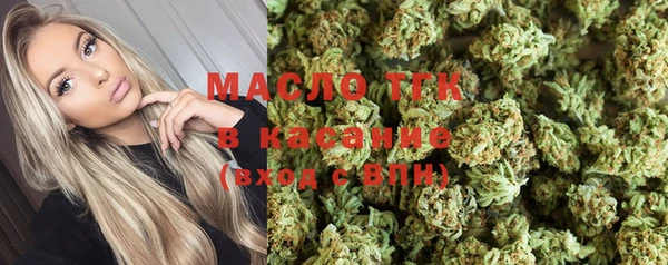 хмурый Бородино
