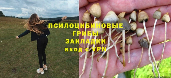 МДПВ Бронницы