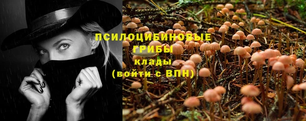 хмурый Бородино