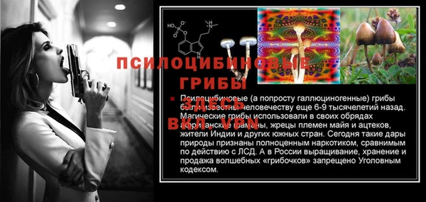 МДПВ Бронницы