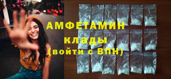 хмурый Бородино