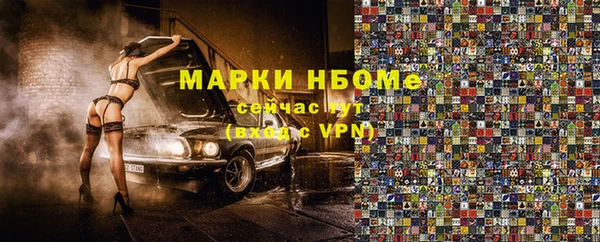 хмурый Бородино